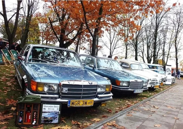 Mercedes-Benz Klasa S cena 40000 przebieg: 276000, rok produkcji 1979 z Krajenka małe 154